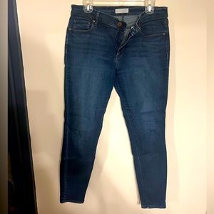 Ann Taylor LOFT Jeans 30/10
